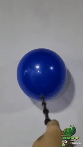 Varita Mágica Harry Potter